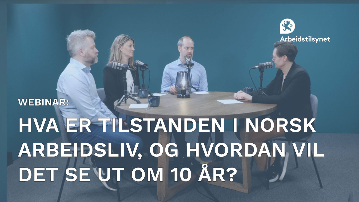 Bilde fra webinaret med programleder og de som har presentert rapportene sammen rundt et rundt bord. Alle ser på programlederen Monica Seem.